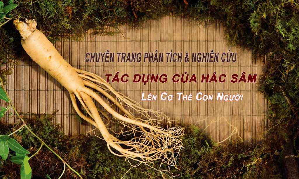 Hồng sâm Hàn Quốc