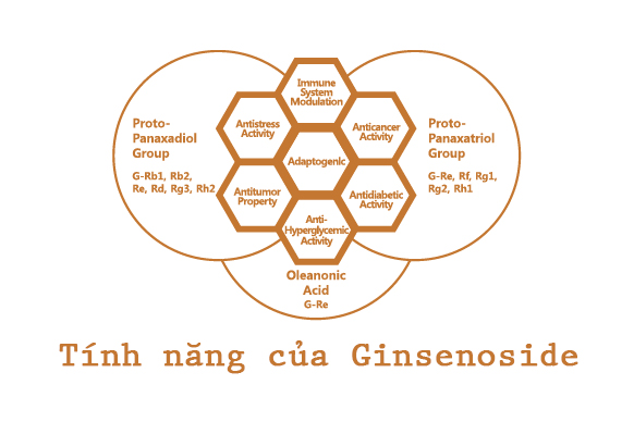 Hồng sâm Hàn Quốc
