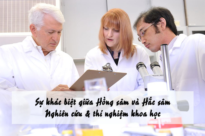 Hồng sâm Hàn Quốc