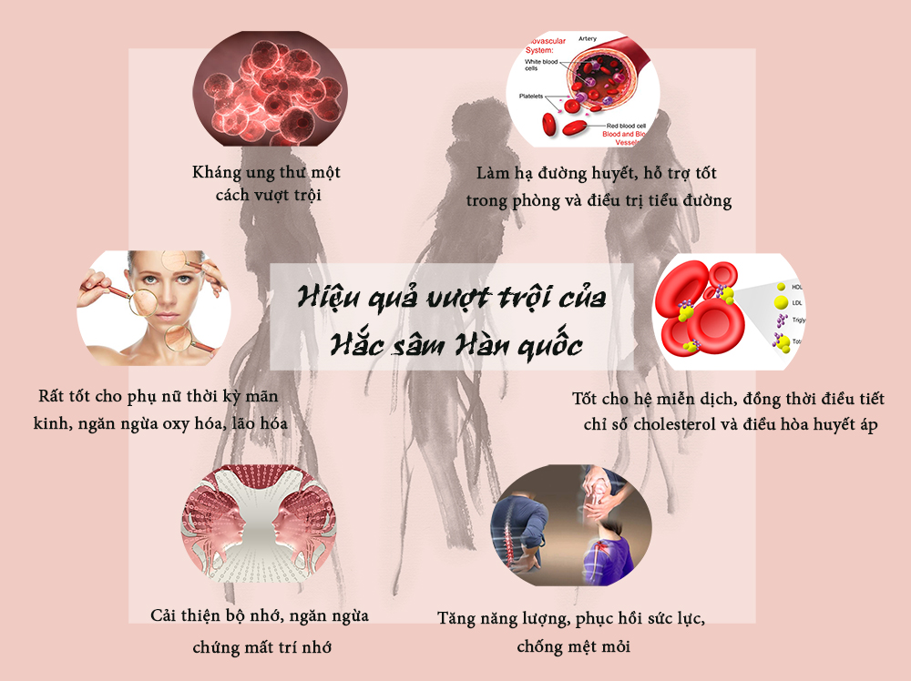 Hồng sâm Hàn Quốc