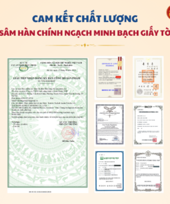 Bột thái cực sâm DKG
