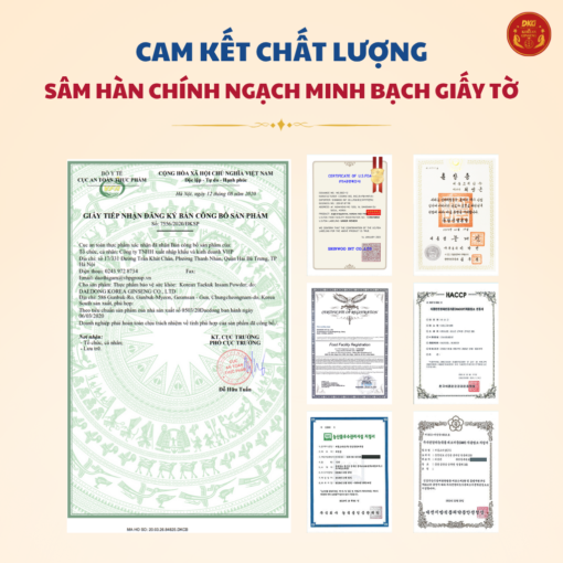 Bột thái cực sâm DKG