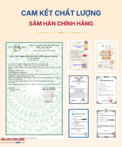 Bột Thái cực sâm Hàn Quốc (Korean Taekuk Insam Powder) 100g*3lọ/hộp