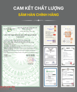 Cao hắc sâm (Ginssen black ginseng essence) 120g/hộp