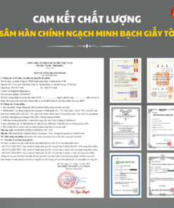 Đông trùng hạ thảo cao cấp - DKG