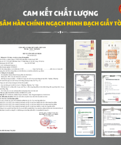 Hắc sâm Hàn Quốc dạng củ 300g (11-20củ) - Daedong