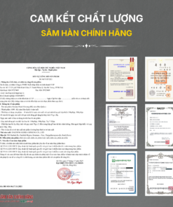 Hắc sâm Hàn Quốc (Korean black ginseng 6Y 16-25 Root) Dạng củ 150g/hộp