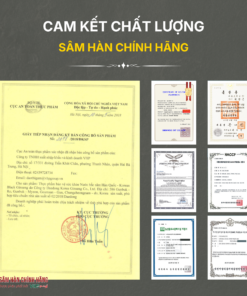 Nước hắc sâm Hàn Quốc ( Korean Black Ginseng) 20ml*90gói/hộp