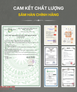 Nước hắc sâm cao cấp (Ginssen Black Ginseng Jung Premium) 10ml*30gói/hộp