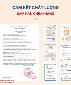 Hồng sâm Hàn Quốc thái lát (Sliced Korea Red Ginseng) 20g*10gói/hộp