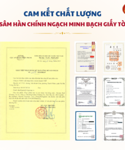 Trà hồng sâm 50 gói DKG