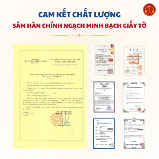 Trà hồng sâm 50 gói DKG