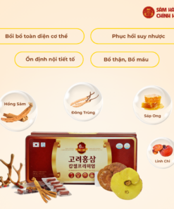Viên sâm nhung linh chi đông trùng 120 viên - Daedong