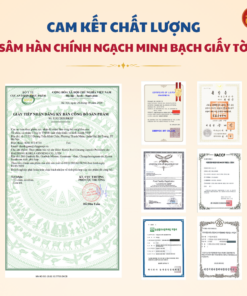 Viên sâm nhung linh chi đông trùng 120 viên - Daedong