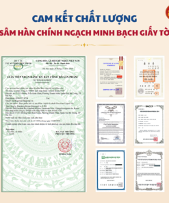 Linh chi táo đỏ Premium DKG