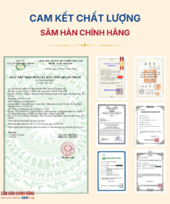 Hồng Sâm trẻ em Hàn Quốc 6-13 tuổi (Korean Red Ginseng Junior 6-13 year) 20ml*30gói/hộp
