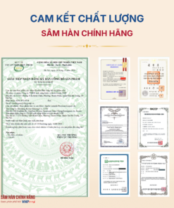 Nước Linh Chi Táo Đỏ cao cấp (Jujube linhzhi premium liquid) 80ml*30gói/hộp