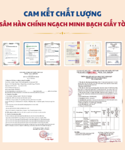 Nấm Linh Chi 1000g - Daedong