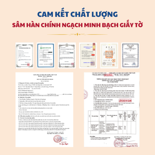 Nấm Linh Chi 1000g - Daedong