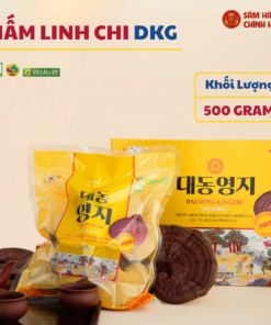 Nấm Linh Chi 500g - Daedong