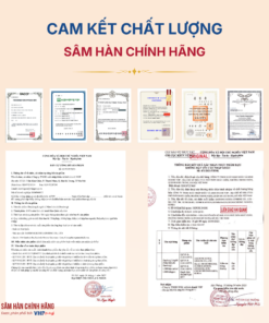 Nấm Linh Chi Daedong (Daedong Lingzhi) sấy khô nguyên tai 1000g/hộp