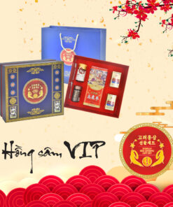 Bộ quà tặng hồng sâm VIP