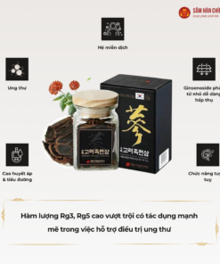 Hắc sâm Hàn Quốc (Korean Black ginseng) Dạng lát 75g/hộp