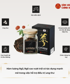 Hắc sâm thái lát 75g DKG