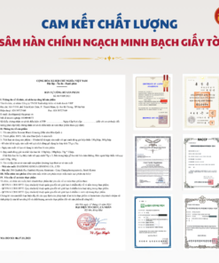 Hắc sâm thái lát 75g DKG