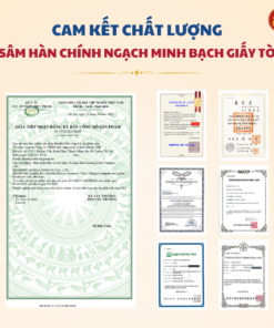 Nước hồng sâm Hàn Quốc cao cấp stick - DKG