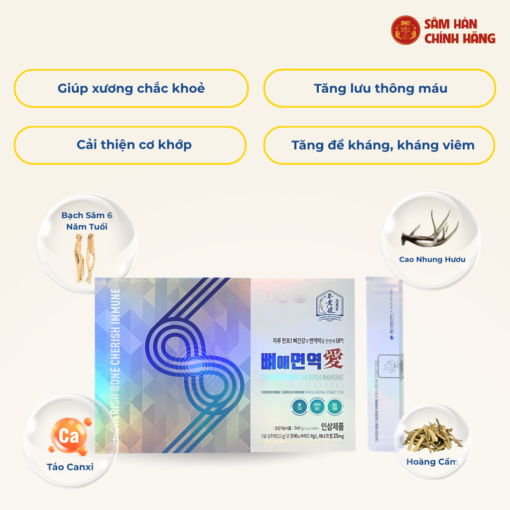 Bạch sâm bổ xương khớp DKG