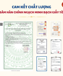 Bạch sâm bổ xương khớp DKG