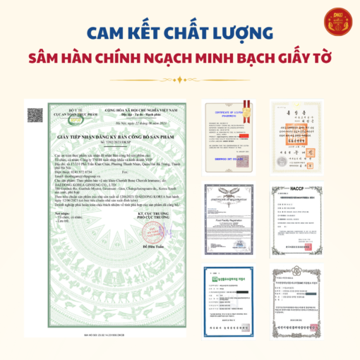 Bạch sâm bổ xương khớp DKG