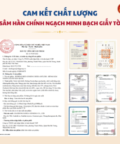 Hồng Sâm Nhung Hươu Hàn Quốc (70ml x 30 gói) - Daedong