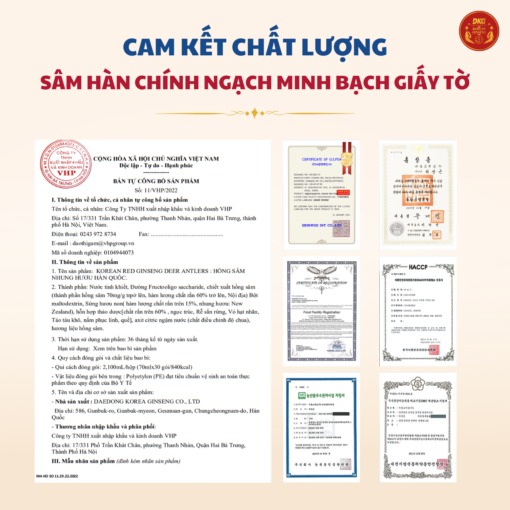 Hồng Sâm Nhung Hươu Hàn Quốc (70ml x 30 gói) - Daedong