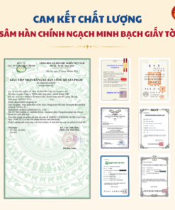 Hồng sâm Hoàng Hậu DKG