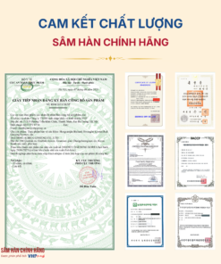 Nước Hồng Sâm Hoàng Hậu Hàn Quốc (Hongsamjin Bichaek Hwanghu - Korean Red Ginseng Extract) 120ml*20gói/hộp