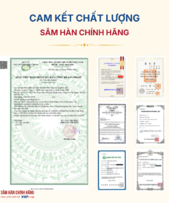 Nước Bạch sâm bổ khớp (Cherish Bone Cherish Immune) 12g*30gói/hộp