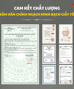 Hắc sâm HQ cao cấp 7mg/g (10ml*30 stick) - Daedong