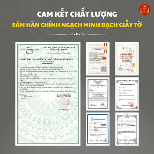 Hắc sâm HQ cao cấp 7mg/g (10ml*30 stick) - Daedong