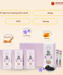 Thạch hồng sâm Hoa chuông Daedong (20g x 30 stick)
