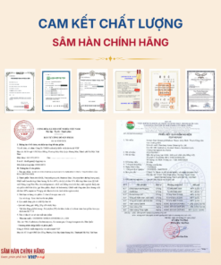 Thạch hồng sâm Hoa chuông Daedong (20g x 30 stick)