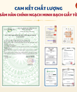 Royal Korean Red Pine - Thông đỏ hoàng gia Hàn Quốc 60v*450mg (Hộp nhỏ)