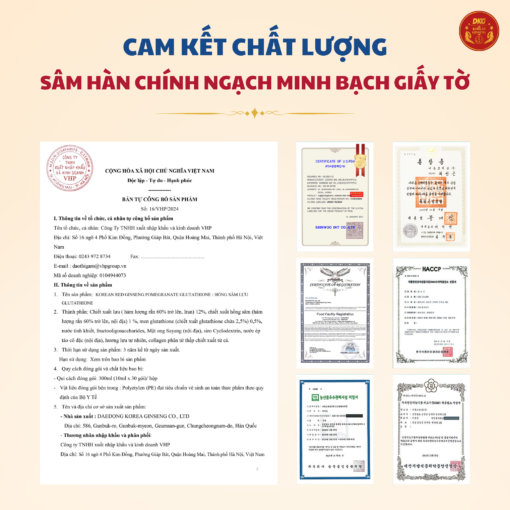 2G - Collagen Hồng sâm lựu Glutathione (10ml x 30stick) - Daedong