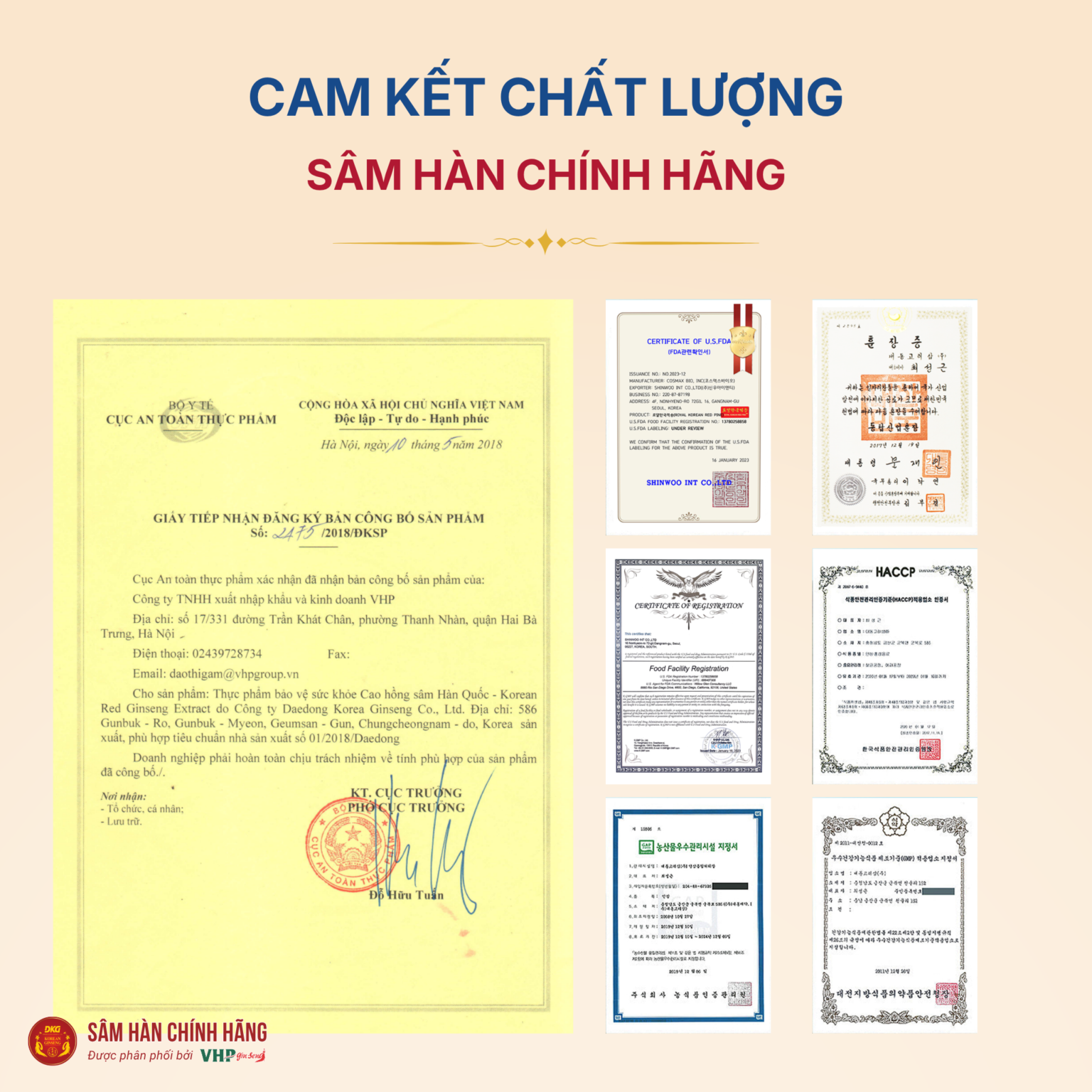 Cao hồng sâm Hàn Quốc (Korean red ginseng extract) 6Y 240g/hộp