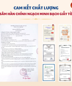 Thái cực sâm củ khô HQ (Thiên Sâm) 300g số 30 (30 củ) - Daedong