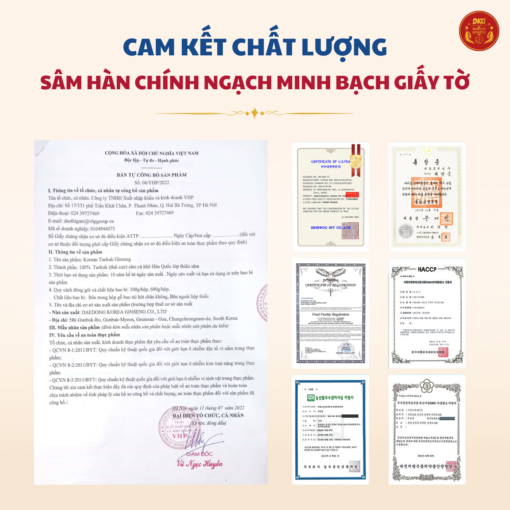 Thái cực sâm củ khô HQ (Thiên Sâm) 300g số 30 (30 củ) - Daedong