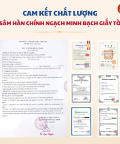 Korean Taekuk Ginseng (Thiên sâm) 300g - số 30 (30củ) - Daedong