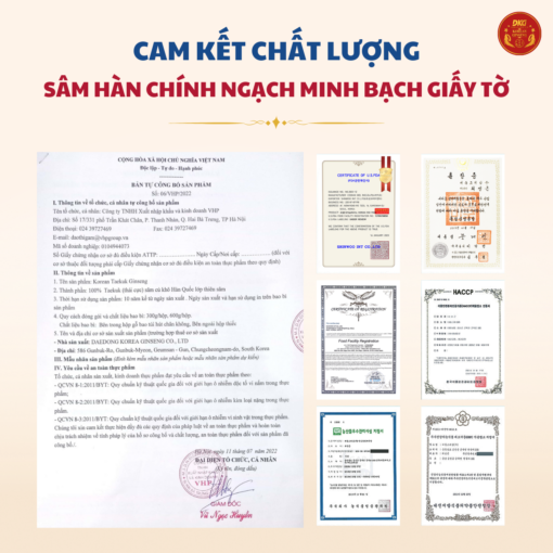 Korean Taekuk Ginseng (Thiên sâm) 300g - số 30 (30củ) - Daedong