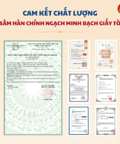 Cao Hồng Sâm lên men DKG